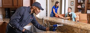 Reliable Selma, CA Pest Control Solutions